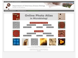 http://pictures.life.ku.dk/ photo atlas